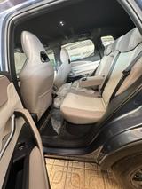 BYD Qin Plus DM-i 2027 - Mid Option — thumbnail 6
